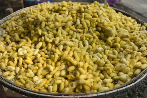 怎样做黄豆酱的视频,传统工艺与现代调味的艺术融合